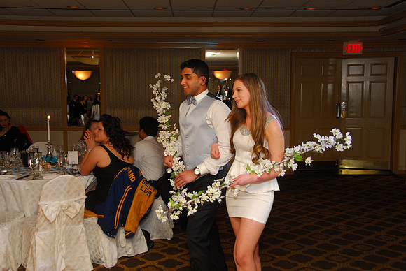 DJM_0184