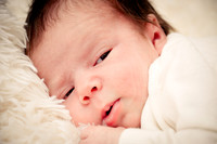 DJM_8487