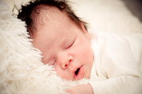 DJM_8491