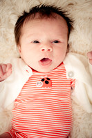 DJM_8509